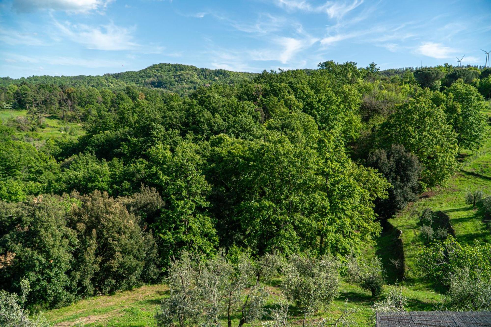 Piccozzo Agritour Aparthotel Casciana Terme Buitenkant foto